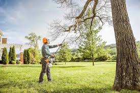 Lawn Renovation and Restoration in Roy, UT